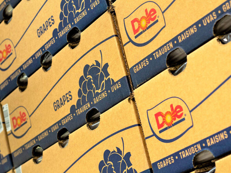 Crafting Nature’s Luxury: The DALIAN CarryCheers & DOLE Collaboration