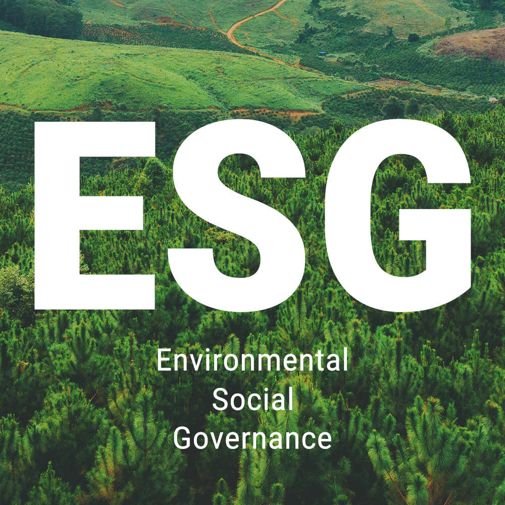 CarryCheers releases first ESG action report: Promoting sustainable innovation of global catering packaging